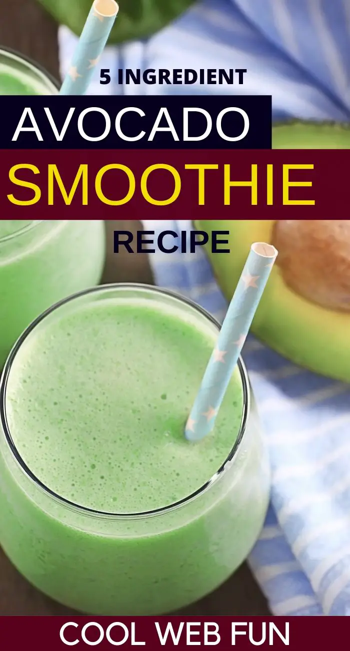 Avocado Smoothie Recipe 5 Ingredients Cool  Fun